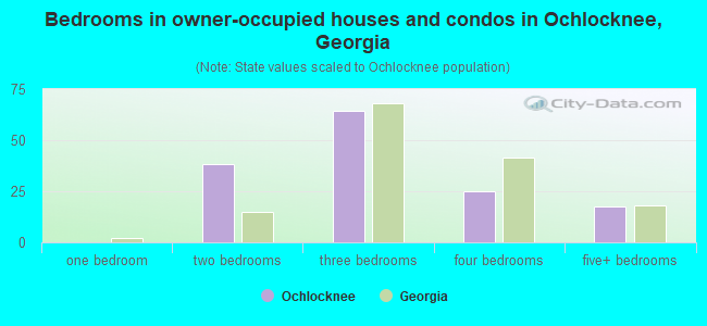 Bedrooms in owner-occupied houses and condos in Ochlocknee, Georgia