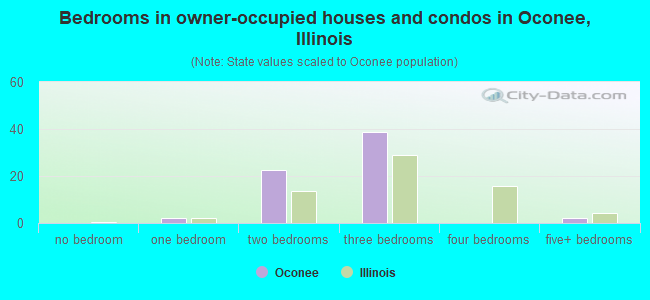 Bedrooms in owner-occupied houses and condos in Oconee, Illinois