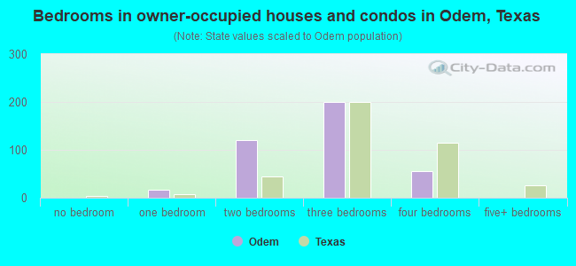 Bedrooms in owner-occupied houses and condos in Odem, Texas