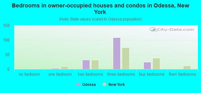 Bedrooms in owner-occupied houses and condos in Odessa, New York