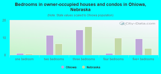 Bedrooms in owner-occupied houses and condos in Ohiowa, Nebraska