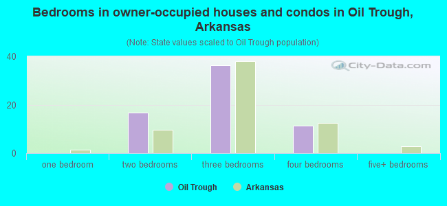 Bedrooms in owner-occupied houses and condos in Oil Trough, Arkansas
