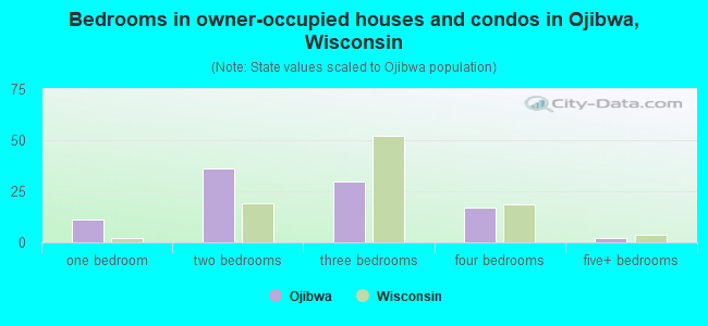 Bedrooms in owner-occupied houses and condos in Ojibwa, Wisconsin