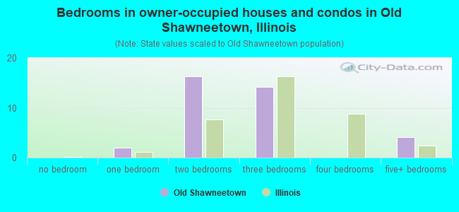 Bedrooms in owner-occupied houses and condos in Old Shawneetown, Illinois