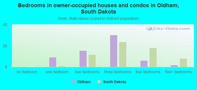 Bedrooms in owner-occupied houses and condos in Oldham, South Dakota