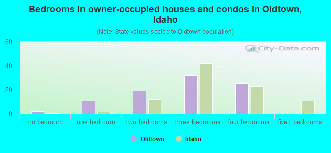 Bedrooms in owner-occupied houses and condos in Oldtown, Idaho