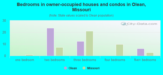 Bedrooms in owner-occupied houses and condos in Olean, Missouri