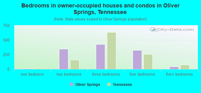 Bedrooms in owner-occupied houses and condos in Oliver Springs, Tennessee