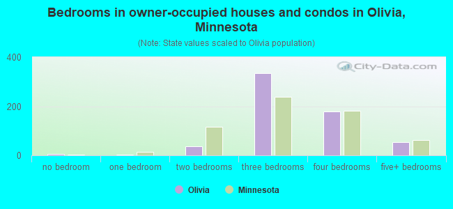 Bedrooms in owner-occupied houses and condos in Olivia, Minnesota
