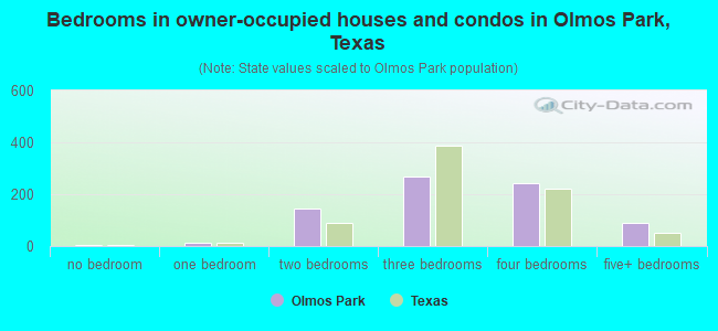 Bedrooms in owner-occupied houses and condos in Olmos Park, Texas