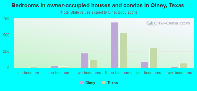 Bedrooms in owner-occupied houses and condos in Olney, Texas