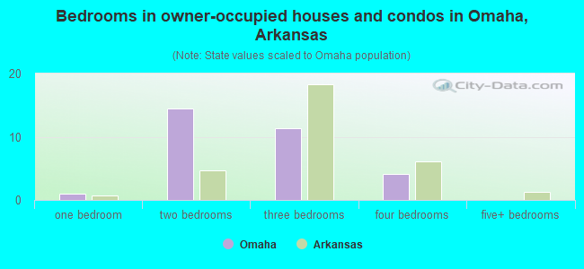 Bedrooms in owner-occupied houses and condos in Omaha, Arkansas