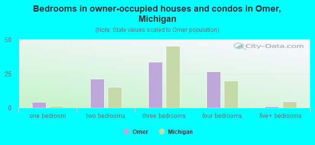 Bedrooms in owner-occupied houses and condos in Omer, Michigan