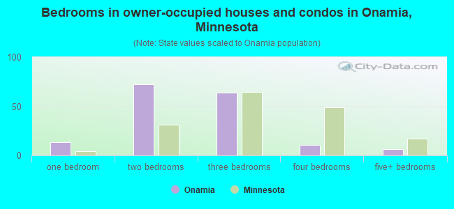 Bedrooms in owner-occupied houses and condos in Onamia, Minnesota