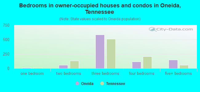 Bedrooms in owner-occupied houses and condos in Oneida, Tennessee