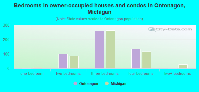 Bedrooms in owner-occupied houses and condos in Ontonagon, Michigan