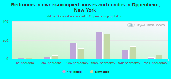 Bedrooms in owner-occupied houses and condos in Oppenheim, New York
