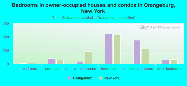Bedrooms in owner-occupied houses and condos in Orangeburg, New York