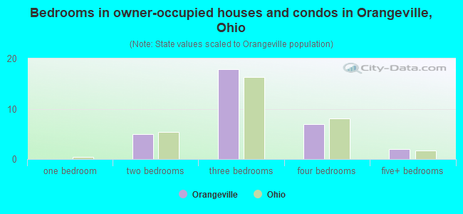 Bedrooms in owner-occupied houses and condos in Orangeville, Ohio