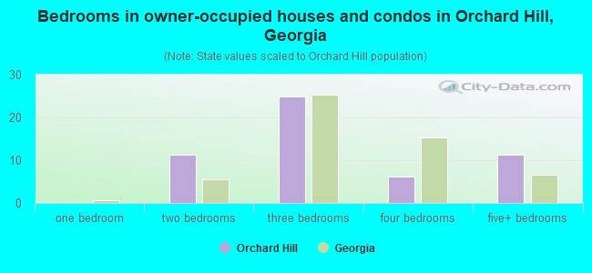 Bedrooms in owner-occupied houses and condos in Orchard Hill, Georgia