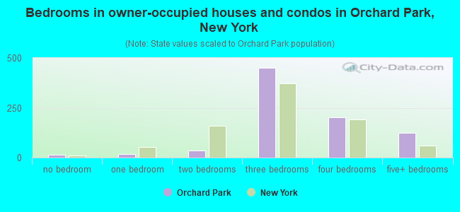 Bedrooms in owner-occupied houses and condos in Orchard Park, New York