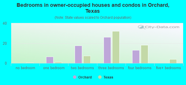 Bedrooms in owner-occupied houses and condos in Orchard, Texas