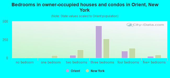 Bedrooms in owner-occupied houses and condos in Orient, New York