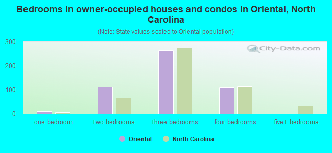 Bedrooms in owner-occupied houses and condos in Oriental, North Carolina