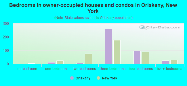 Bedrooms in owner-occupied houses and condos in Oriskany, New York