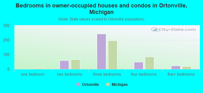 Bedrooms in owner-occupied houses and condos in Ortonville, Michigan