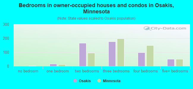 Bedrooms in owner-occupied houses and condos in Osakis, Minnesota