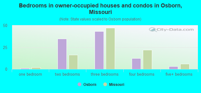 Bedrooms in owner-occupied houses and condos in Osborn, Missouri