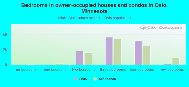 Bedrooms in owner-occupied houses and condos in Oslo, Minnesota