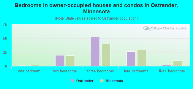 Bedrooms in owner-occupied houses and condos in Ostrander, Minnesota