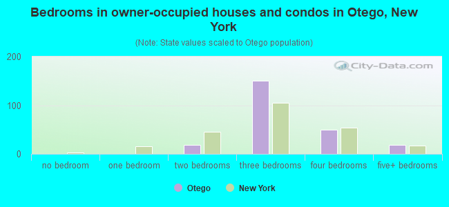 Bedrooms in owner-occupied houses and condos in Otego, New York