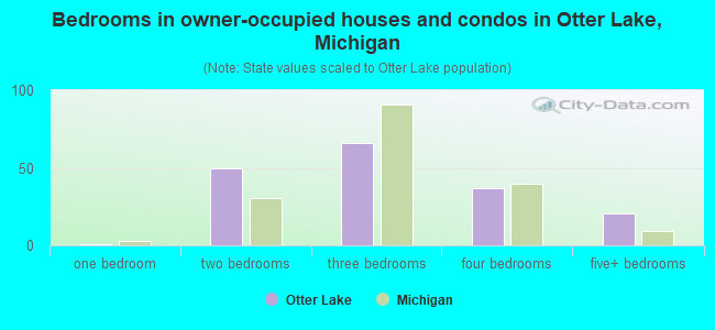 Bedrooms in owner-occupied houses and condos in Otter Lake, Michigan