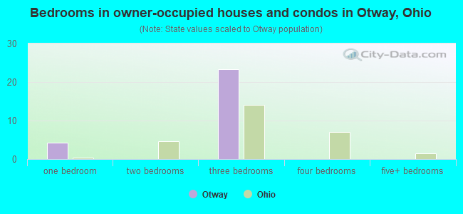 Bedrooms in owner-occupied houses and condos in Otway, Ohio