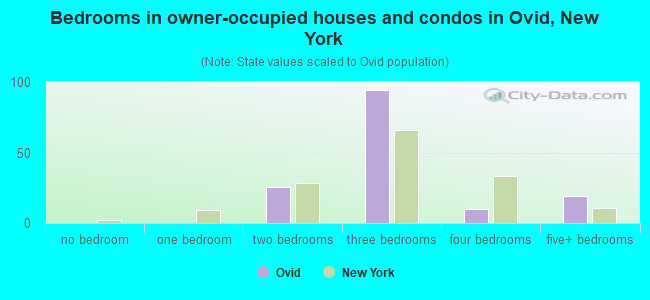 Bedrooms in owner-occupied houses and condos in Ovid, New York