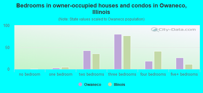 Bedrooms in owner-occupied houses and condos in Owaneco, Illinois