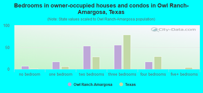 Bedrooms in owner-occupied houses and condos in Owl Ranch-Amargosa, Texas