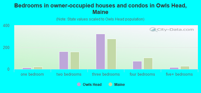 Bedrooms in owner-occupied houses and condos in Owls Head, Maine