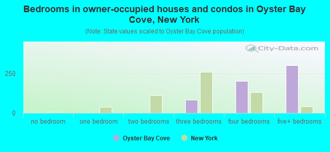 Bedrooms in owner-occupied houses and condos in Oyster Bay Cove, New York