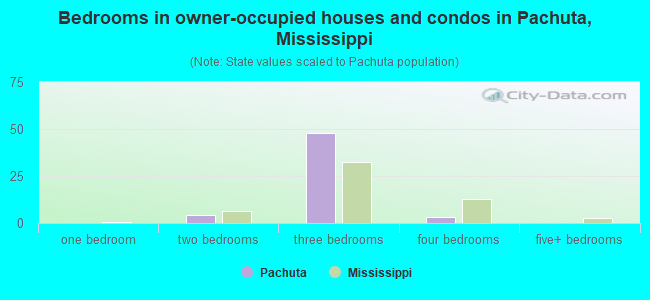 Bedrooms in owner-occupied houses and condos in Pachuta, Mississippi