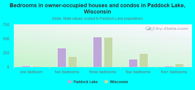 Bedrooms in owner-occupied houses and condos in Paddock Lake, Wisconsin