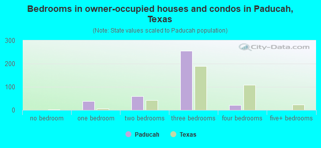 Bedrooms in owner-occupied houses and condos in Paducah, Texas