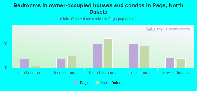 Bedrooms in owner-occupied houses and condos in Page, North Dakota
