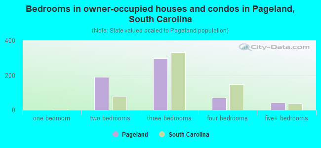 Bedrooms in owner-occupied houses and condos in Pageland, South Carolina