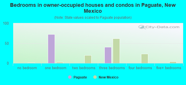 Bedrooms in owner-occupied houses and condos in Paguate, New Mexico