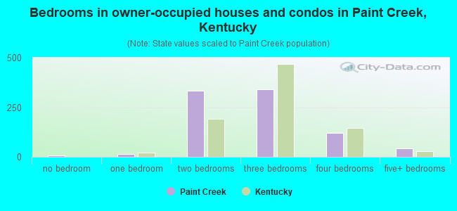 Bedrooms in owner-occupied houses and condos in Paint Creek, Kentucky