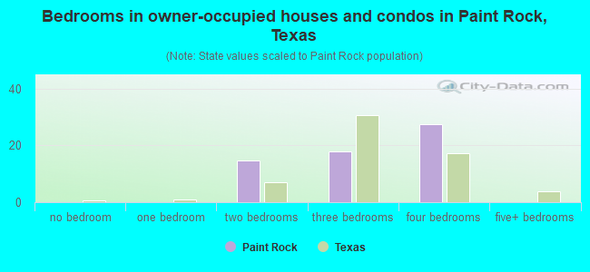 Bedrooms in owner-occupied houses and condos in Paint Rock, Texas